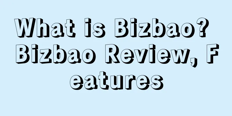What is Bizbao? Bizbao Review, Features