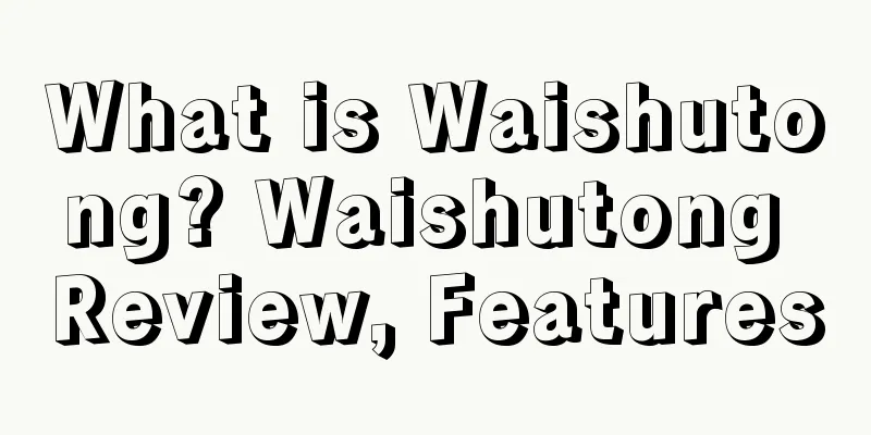 What is Waishutong? Waishutong Review, Features