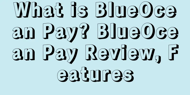 What is BlueOcean Pay? BlueOcean Pay Review, Features