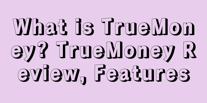 What is TrueMoney? TrueMoney Review, Features