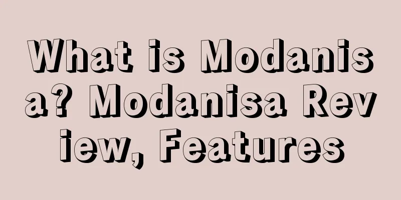What is Modanisa? Modanisa Review, Features