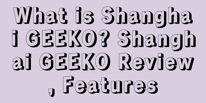 What is Shanghai GEEKO? Shanghai GEEKO Review, Features