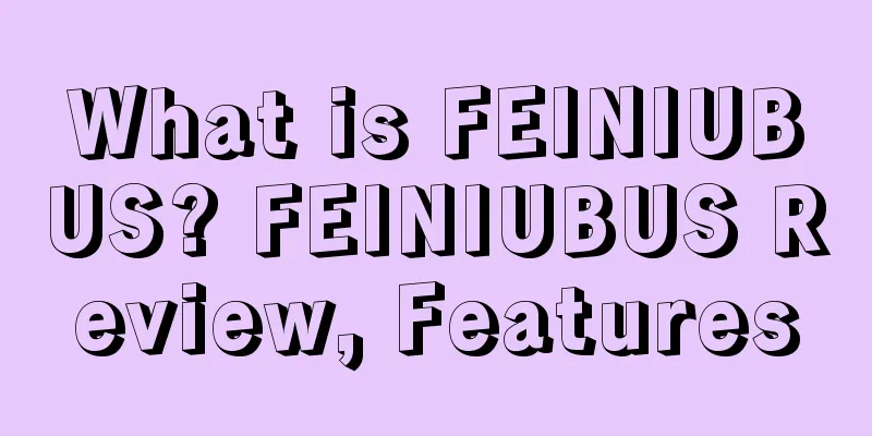 What is FEINIUBUS? FEINIUBUS Review, Features