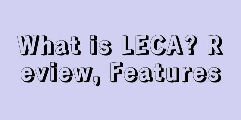 What is LECA? Review, Features
