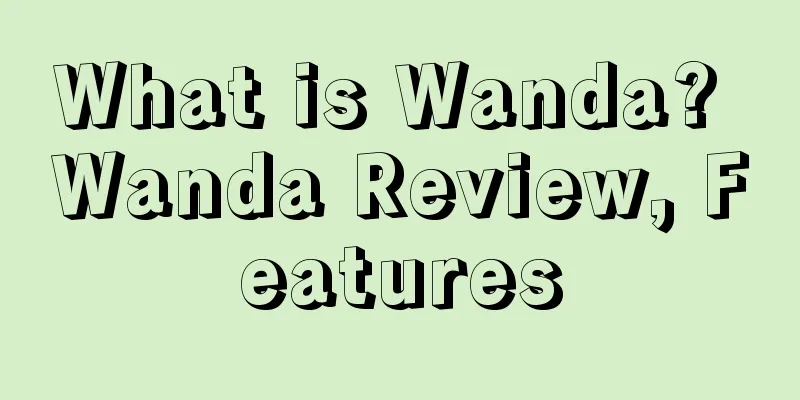 What is Wanda? Wanda Review, Features