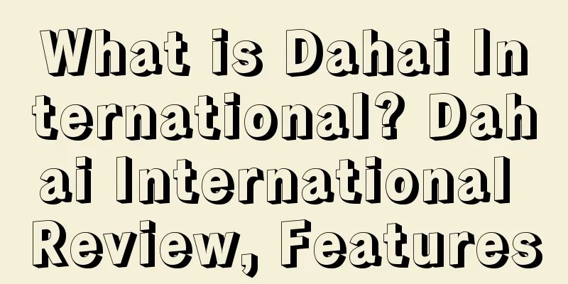 What is Dahai International? Dahai International Review, Features