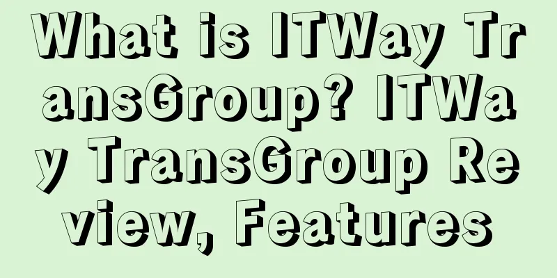 What is ITWay TransGroup? ITWay TransGroup Review, Features