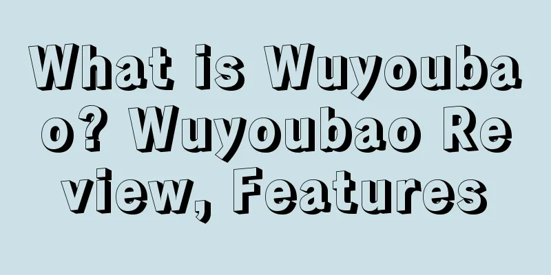 What is Wuyoubao? Wuyoubao Review, Features