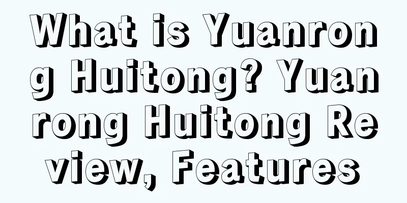 What is Yuanrong Huitong? Yuanrong Huitong Review, Features