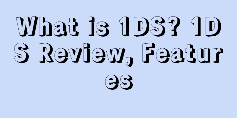 What is 1DS? 1DS Review, Features