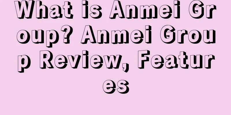 What is Anmei Group? Anmei Group Review, Features