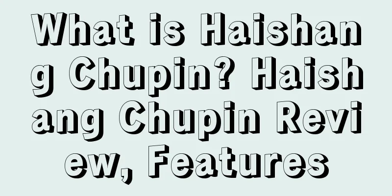 What is Haishang Chupin? Haishang Chupin Review, Features