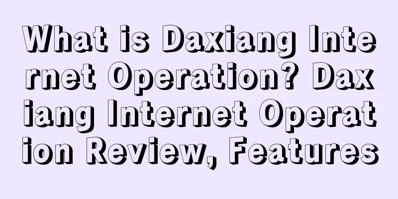 What is Daxiang Internet Operation? Daxiang Internet Operation Review, Features