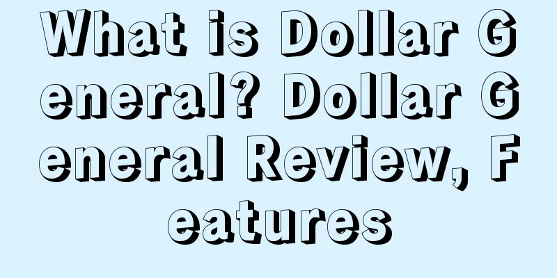 What is Dollar General? Dollar General Review, Features