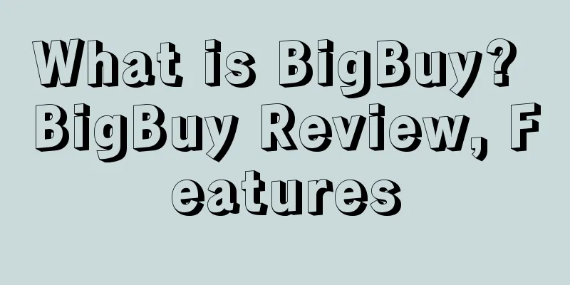 What is BigBuy? BigBuy Review, Features