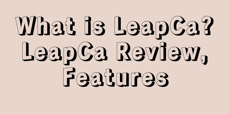 What is LeapCa? LeapCa Review, Features