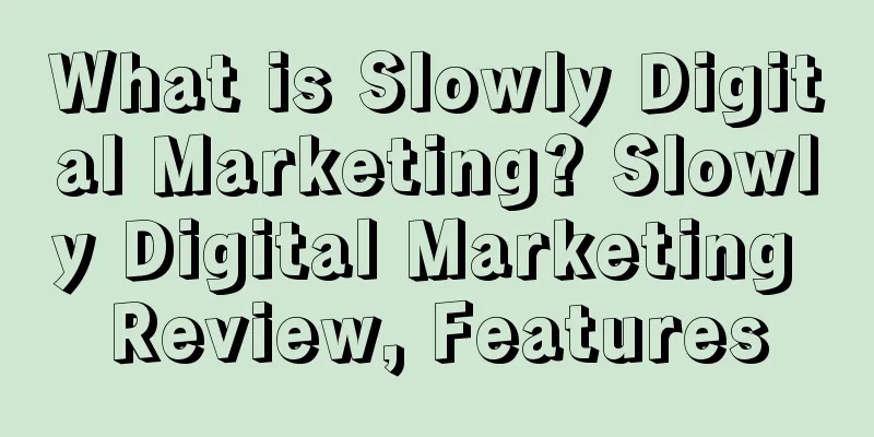 What is Slowly Digital Marketing? Slowly Digital Marketing Review, Features