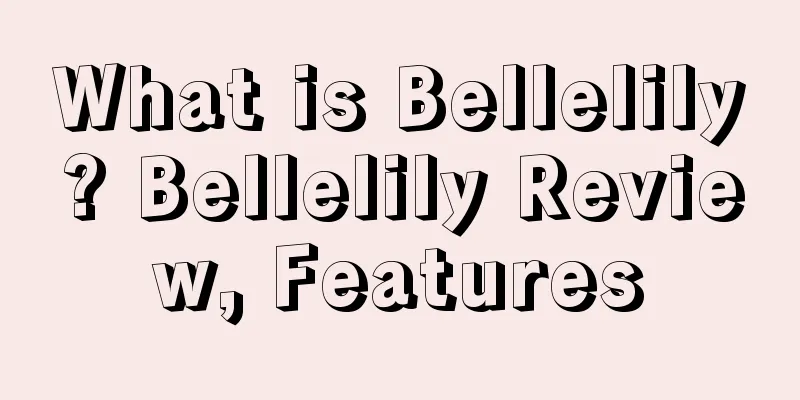 What is Bellelily? Bellelily Review, Features