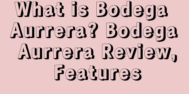 What is Bodega Aurrera? Bodega Aurrera Review, Features