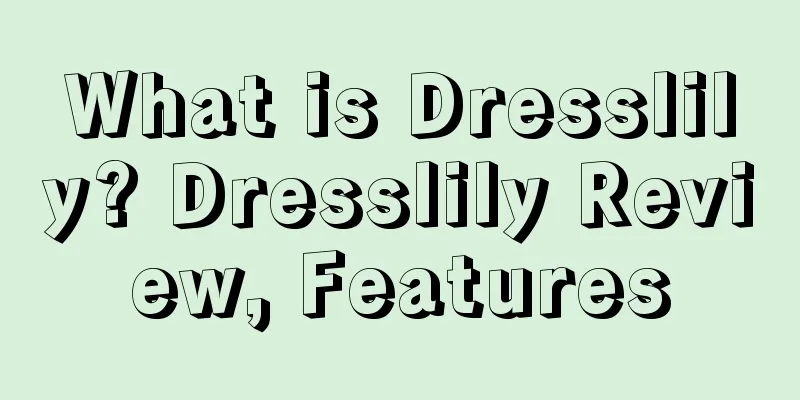 What is Dresslily? Dresslily Review, Features