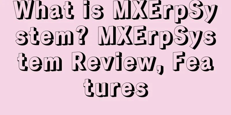 What is MXErpSystem? MXErpSystem Review, Features