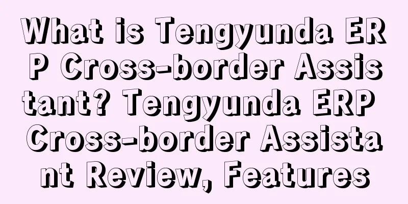 What is Tengyunda ERP Cross-border Assistant? Tengyunda ERP Cross-border Assistant Review, Features