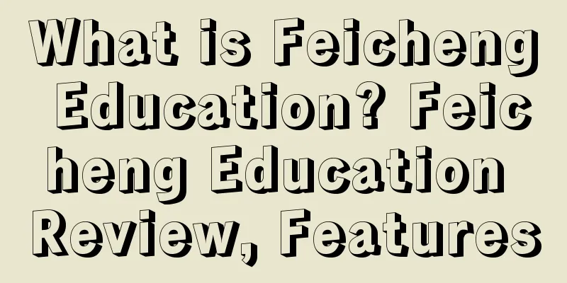 What is Feicheng Education? Feicheng Education Review, Features