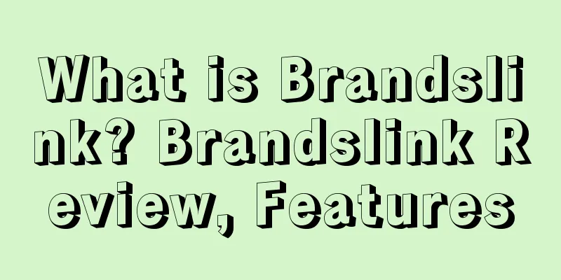 What is Brandslink? Brandslink Review, Features