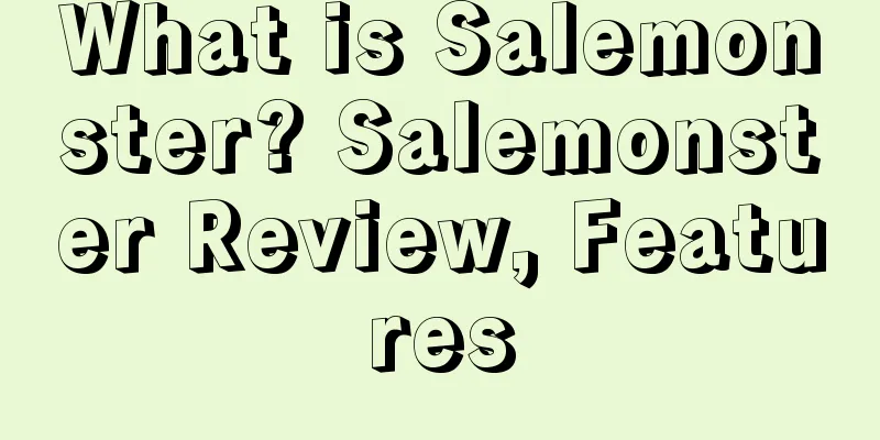 What is Salemonster? Salemonster Review, Features