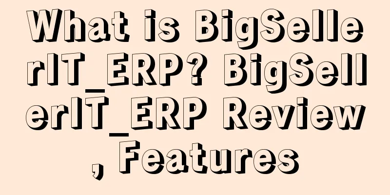 What is BigSellerIT_ERP? BigSellerIT_ERP Review, Features
