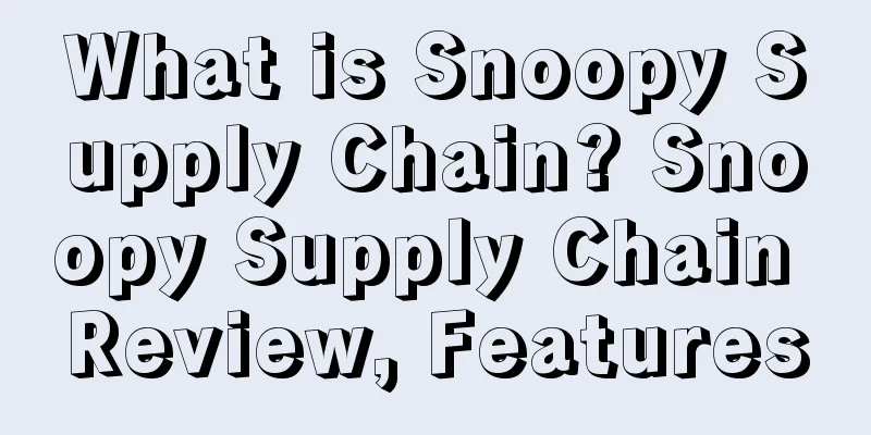 What is Snoopy Supply Chain? Snoopy Supply Chain Review, Features