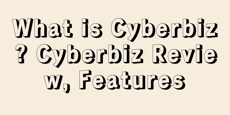 What is Cyberbiz? Cyberbiz Review, Features