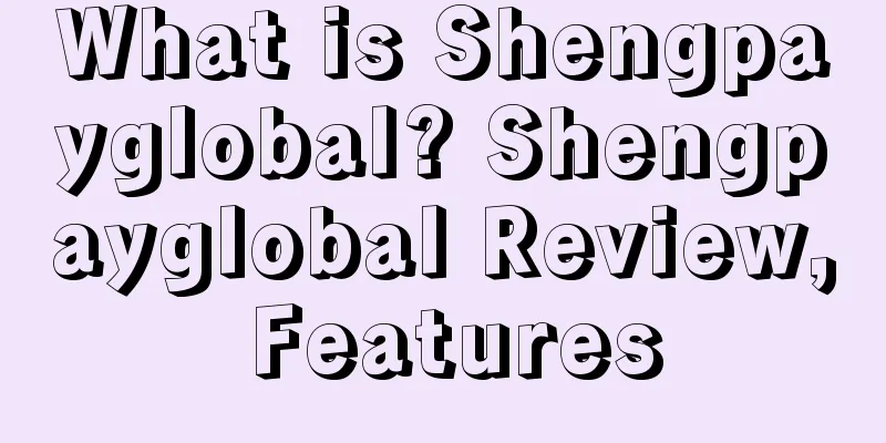 What is Shengpayglobal? Shengpayglobal Review, Features