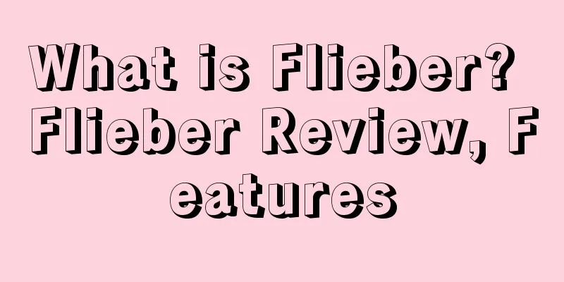 What is Flieber? Flieber Review, Features