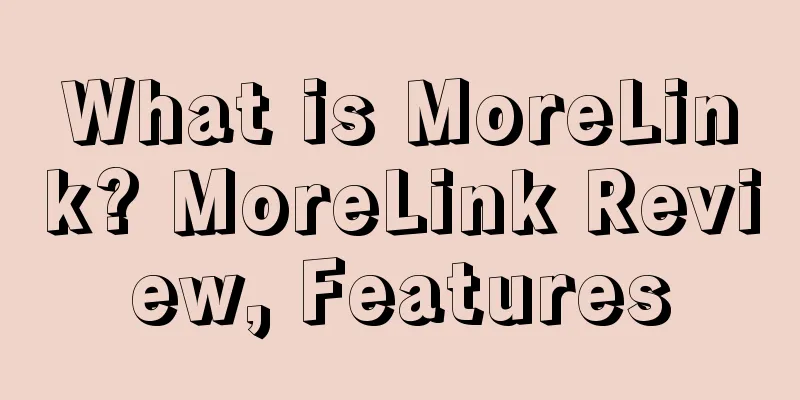 What is MoreLink? MoreLink Review, Features
