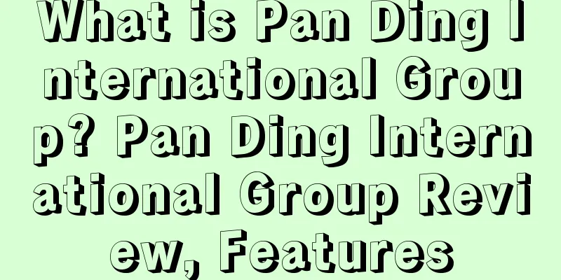 What is Pan Ding International Group? Pan Ding International Group Review, Features