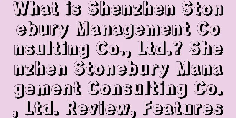 What is Shenzhen Stonebury Management Consulting Co., Ltd.? Shenzhen Stonebury Management Consulting Co., Ltd. Review, Features