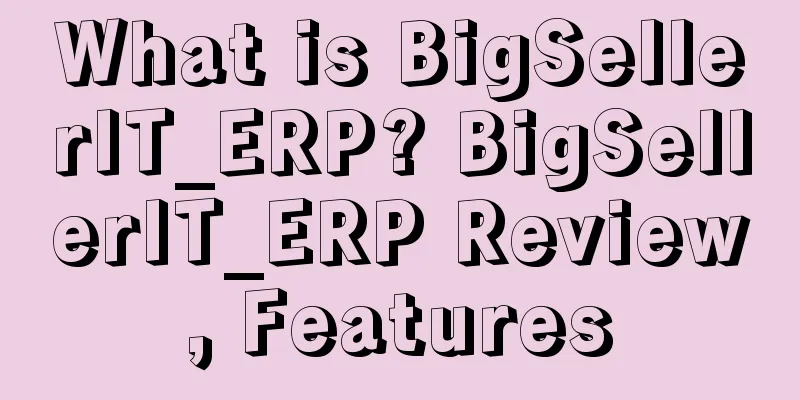 What is BigSellerIT_ERP? BigSellerIT_ERP Review, Features