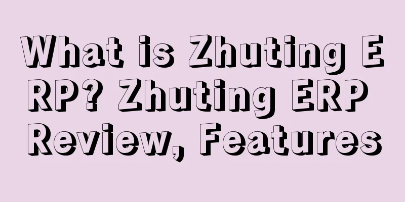 What is Zhuting ERP? Zhuting ERP Review, Features
