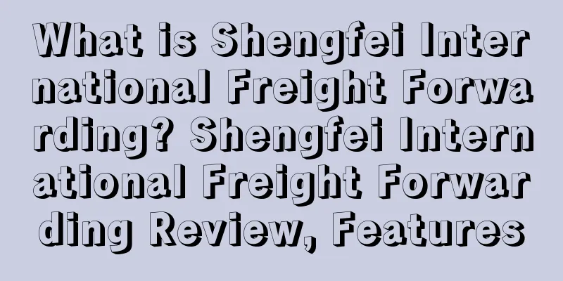 What is Shengfei International Freight Forwarding? Shengfei International Freight Forwarding Review, Features