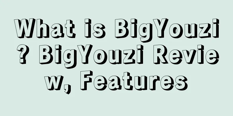 What is BigYouzi? BigYouzi Review, Features