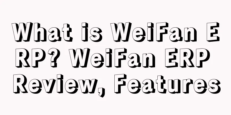 What is WeiFan ERP? WeiFan ERP Review, Features