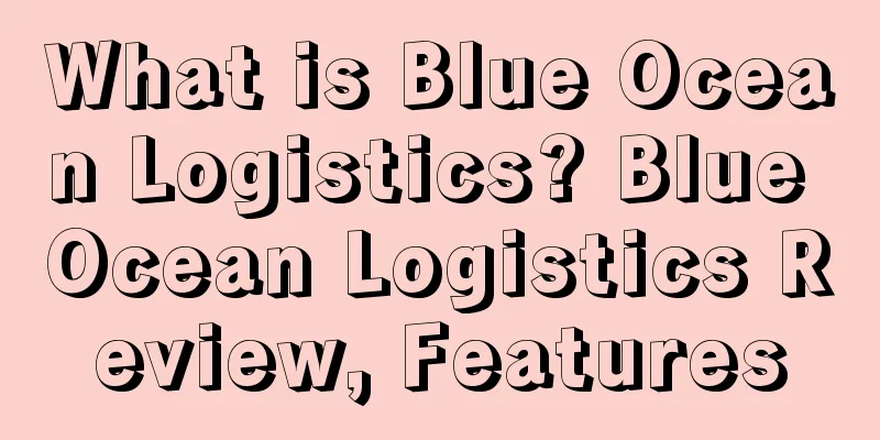 What is Blue Ocean Logistics? Blue Ocean Logistics Review, Features
