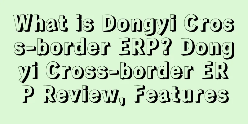 What is Dongyi Cross-border ERP? Dongyi Cross-border ERP Review, Features
