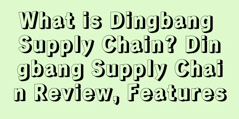 What is Dingbang Supply Chain? Dingbang Supply Chain Review, Features