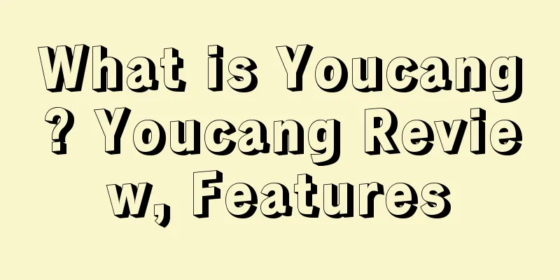 What is Youcang? Youcang Review, Features