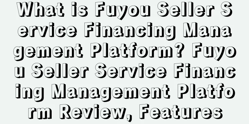 What is Fuyou Seller Service Financing Management Platform? Fuyou Seller Service Financing Management Platform Review, Features