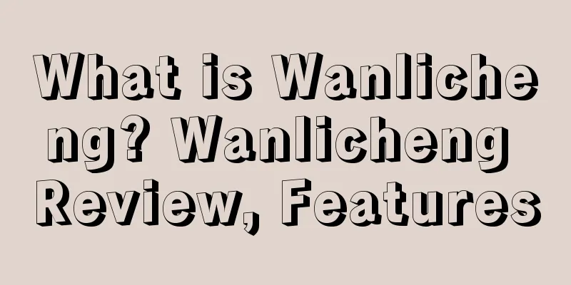 What is Wanlicheng? Wanlicheng Review, Features