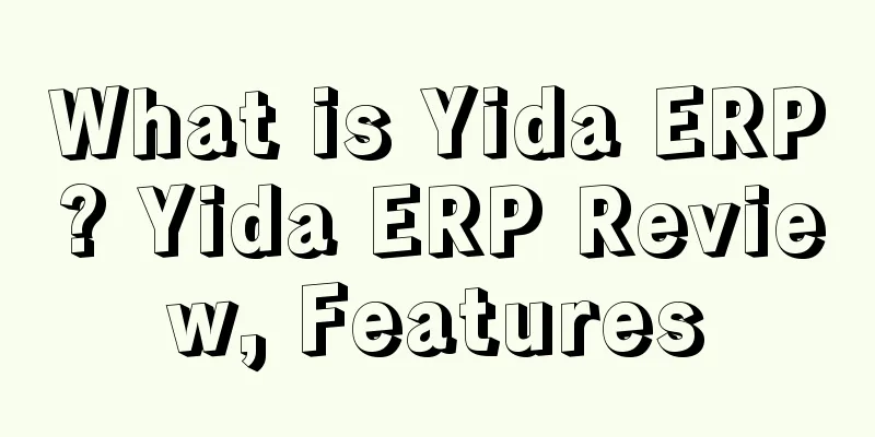 What is Yida ERP? Yida ERP Review, Features