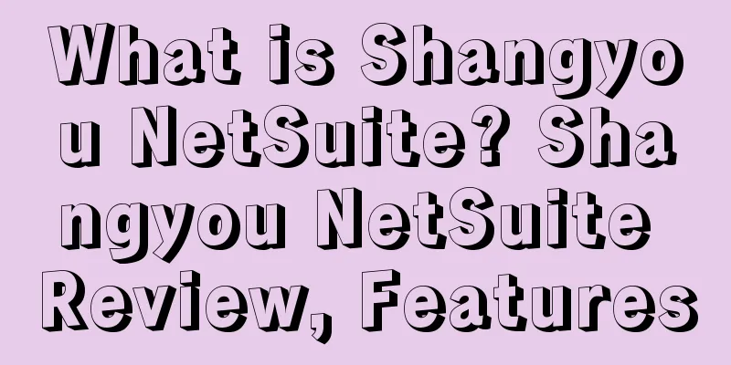 What is Shangyou NetSuite? Shangyou NetSuite Review, Features